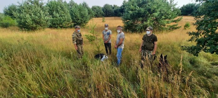 Львівські прикордонники затримали трьох нелегалів