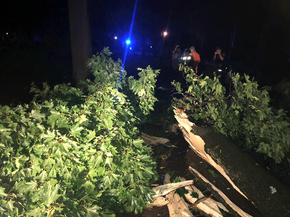 Наслідки негоди у Львові: понад сім десятків зламаних дерев, двоє людей загинули (фото, відео)