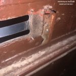 У Львові чоловік викрав кодовий замок від під'їзду та сховав його (фото) - 2