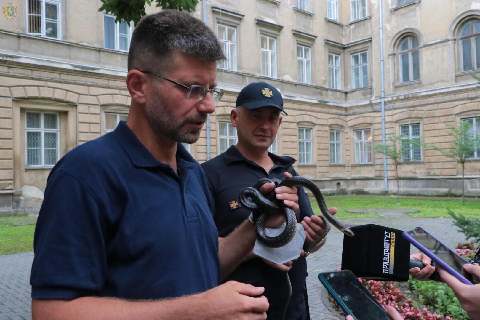 Нинішнього року на Львівщині 34 людини постраждали від укусів змій