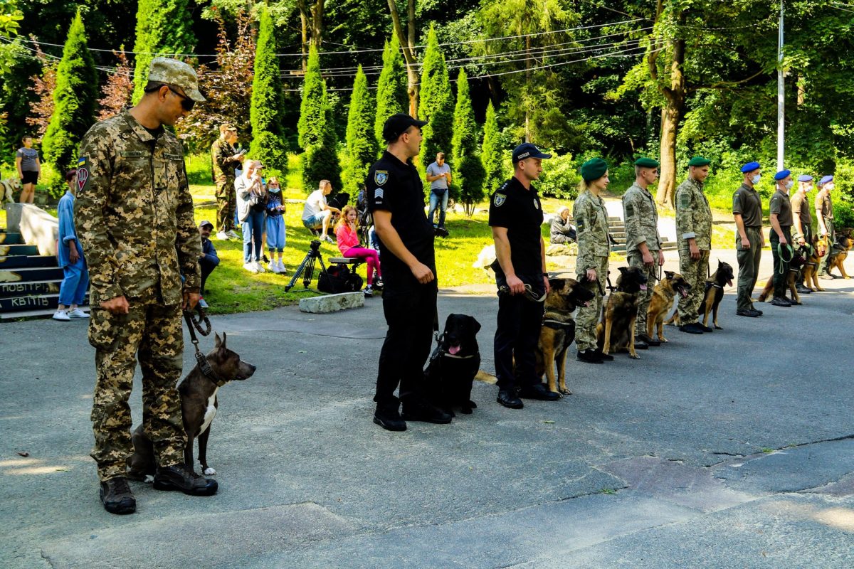 У Львові відбувся парад фронтових собак