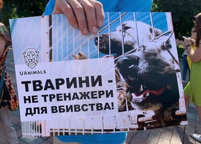 Львів’ян закликають вийти на Всеукраїнський марш за права тварин
