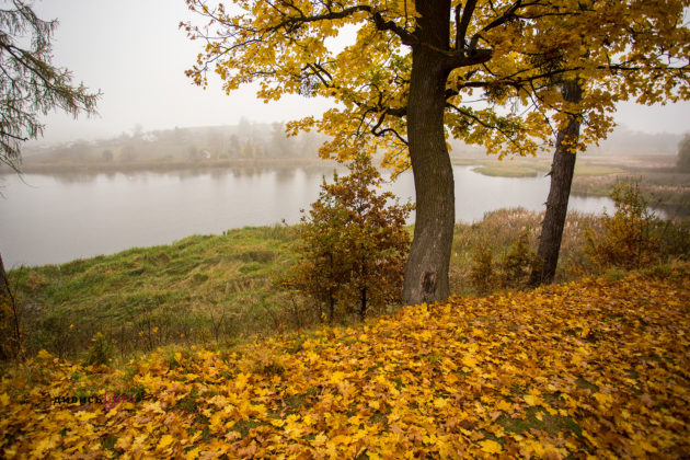 Мандри восени, або Куди поїхати і що побачити на Львівщині