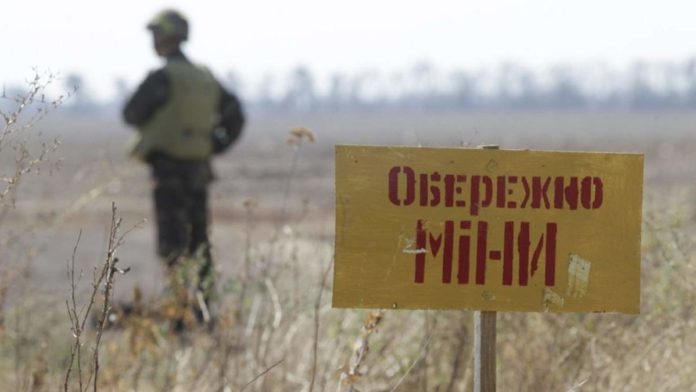 В зоні ООС сапери розмінували 4 гектари території В зоні ООС сапери розмінували 4 гектари території