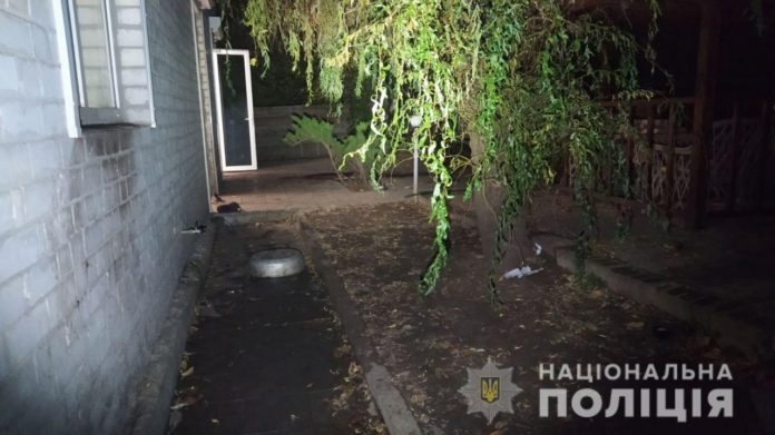 У Харкові на власному подвір’ї собаки загризли літню жінку У Харкові на власному подвір’ї собаки загризли літню жінку