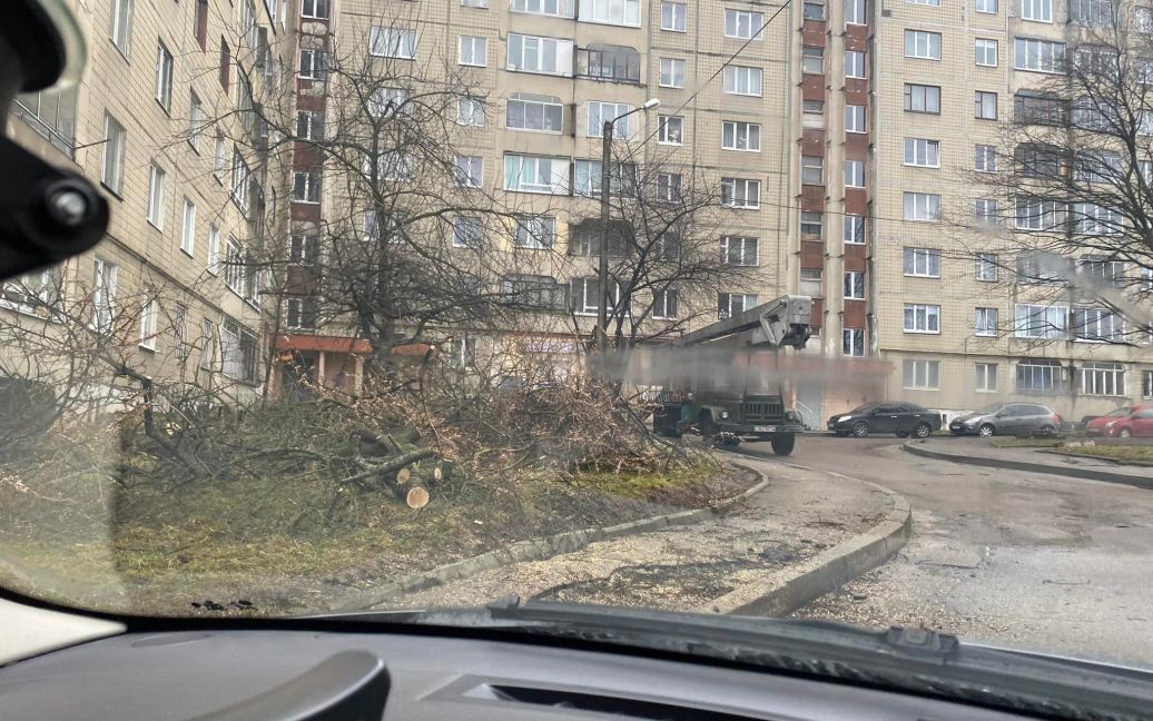 Наслідки негоди: У Франківському районі Львова через сильний вітер впало дев'ять дерев