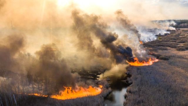 Обабіч Чорнобиля горять ліси: окупанти не підпускають до гасіння рятувальників