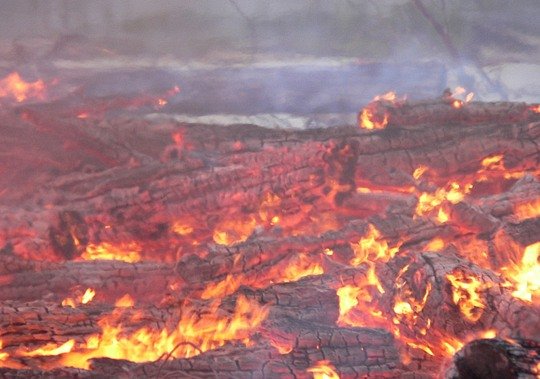 На Яворівщині масштабне загоряння торфу