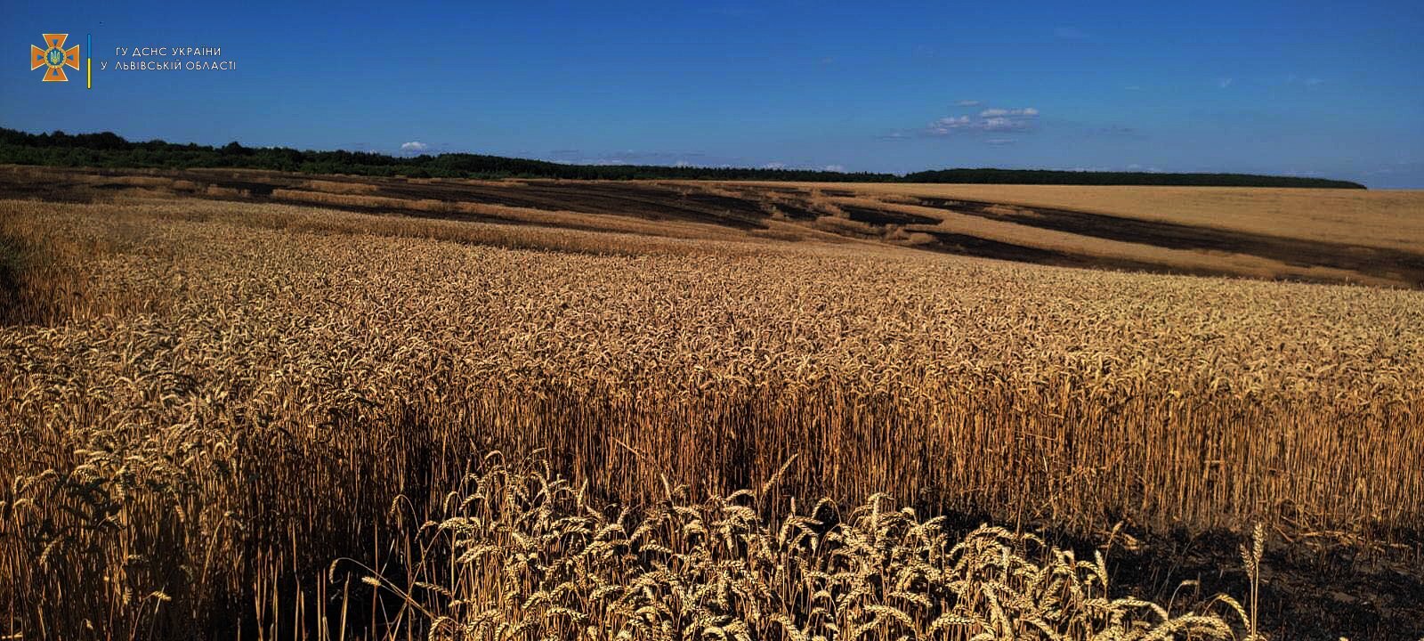 dsns-lvivshchyny