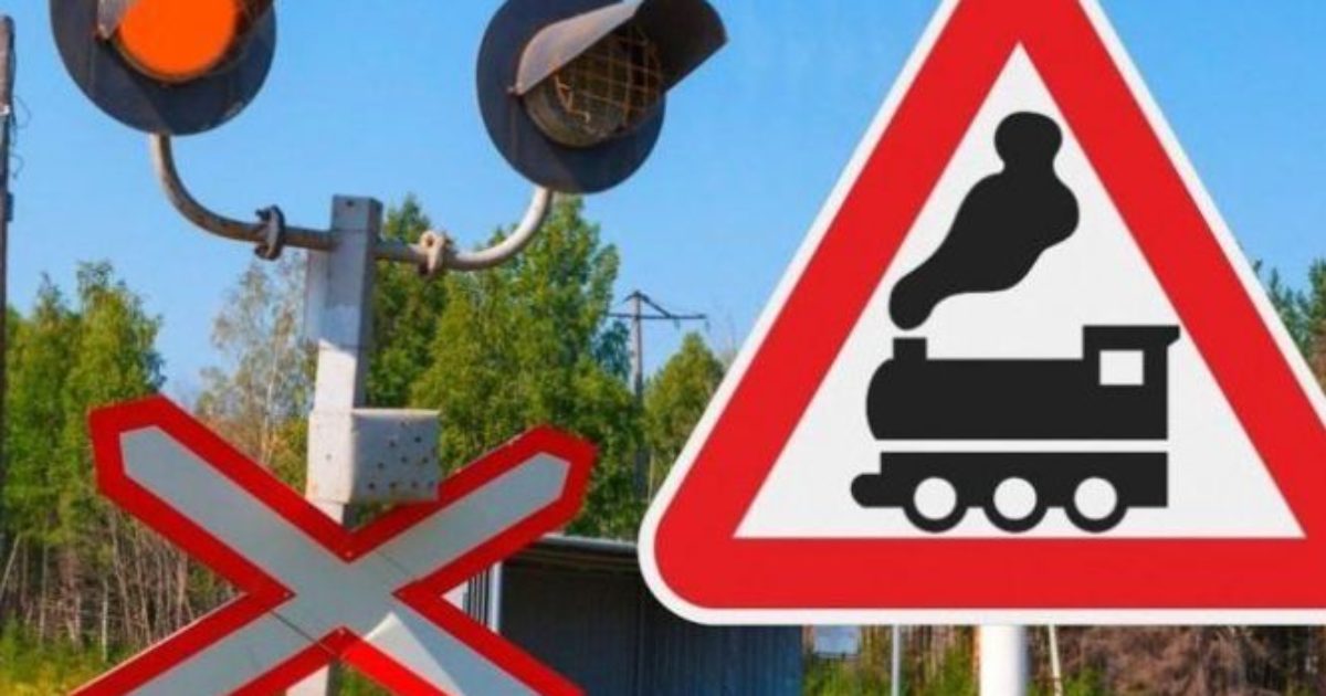 Scellé de sécurité à tige crantée bleue