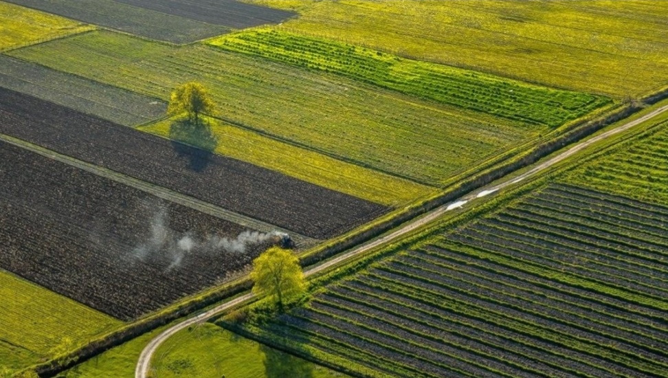 На Львівщині середня вартість 1 гектара землі - майже 460 тисяч гривень