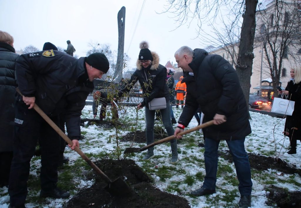 У центрі Львова в межах старту акції «16 днів проти насильства» висадили саджанці калини - 4