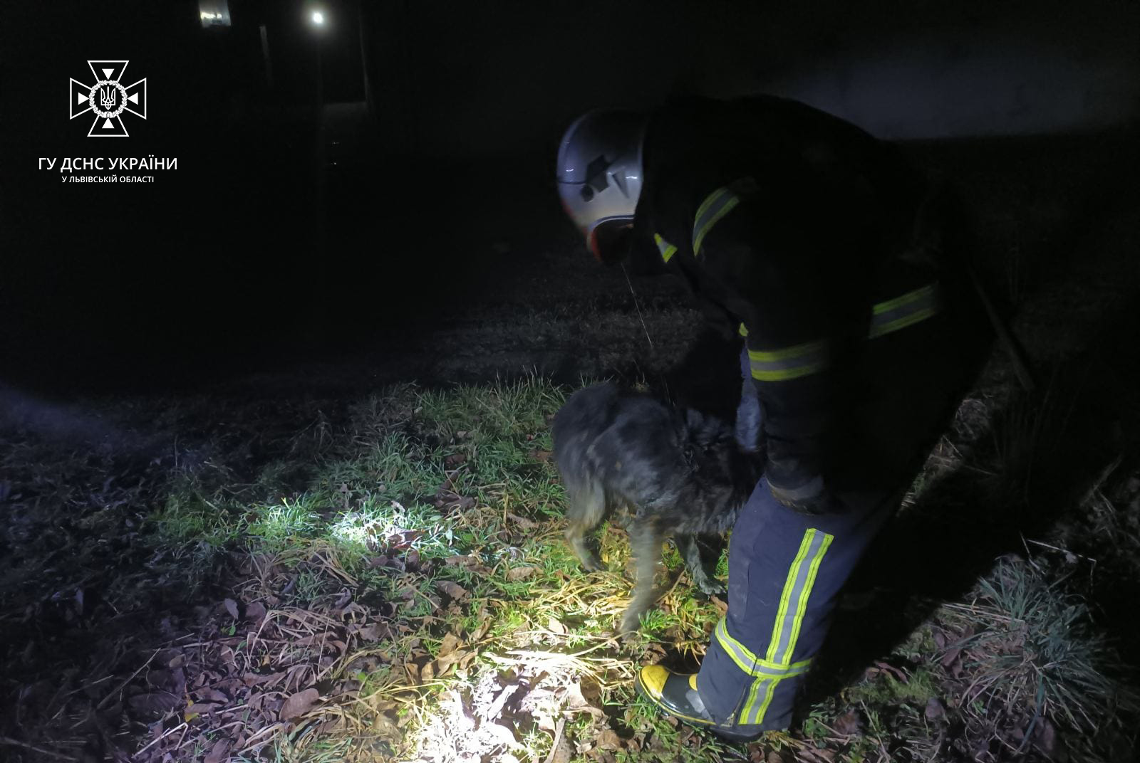 На Львівщині працівники ДСНС врятували собаку - 3