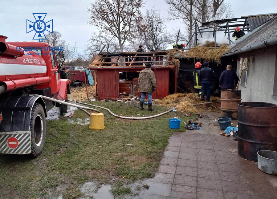 На Львівщині рятувальники врятували з палаючої будівлі свійських тварин - 1