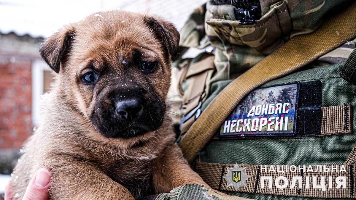 З Великої Новосілки на Донеччині евакуювали всі родини з дітьми - 2