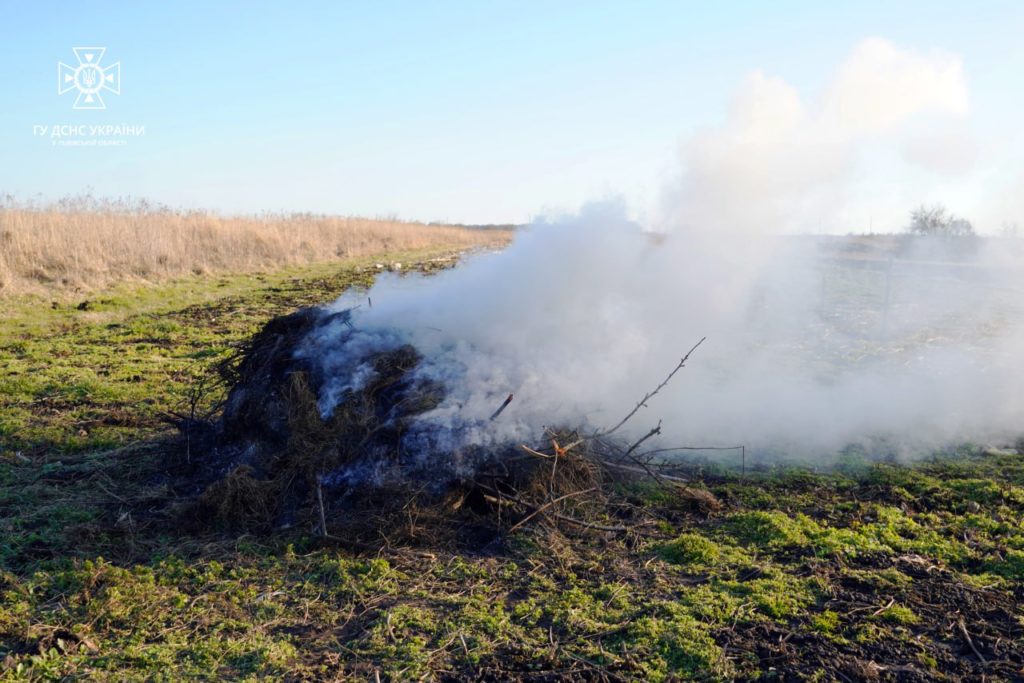 Спіймані «на гарячому»: чому не можна палити сухостій та як за це карають на Львівщині - 2