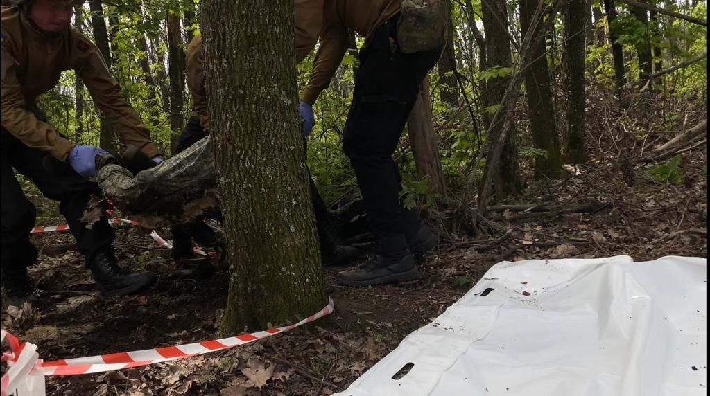 У трьох областях знайшли тіла пів сотні зниклих безвісти українців, — омбудсмен - 4