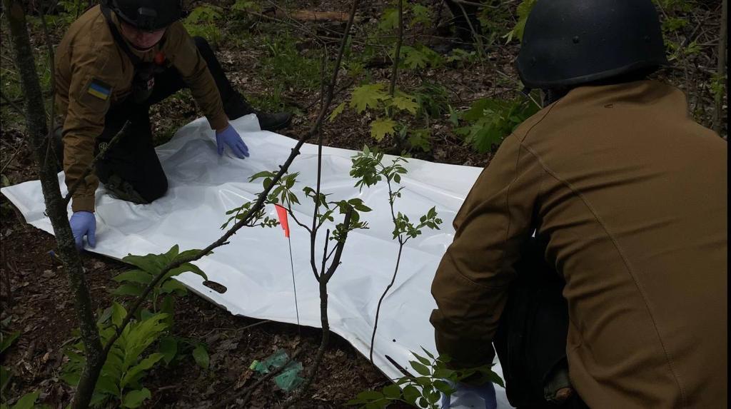 У трьох областях знайшли тіла пів сотні зниклих безвісти українців, — омбудсмен - 2