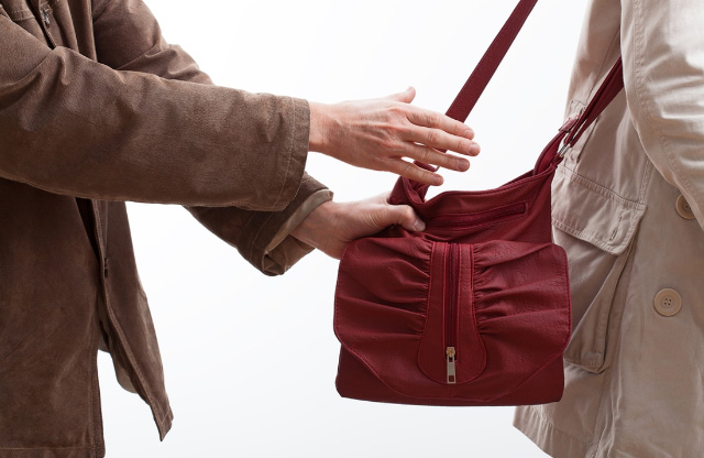 steal-woman-purse