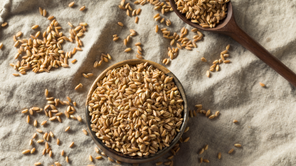 Зміни для українців у 2026-му, втрати року для Львівщини та чому різдвяна ялинка стала новорічною: головні новини дня - 13