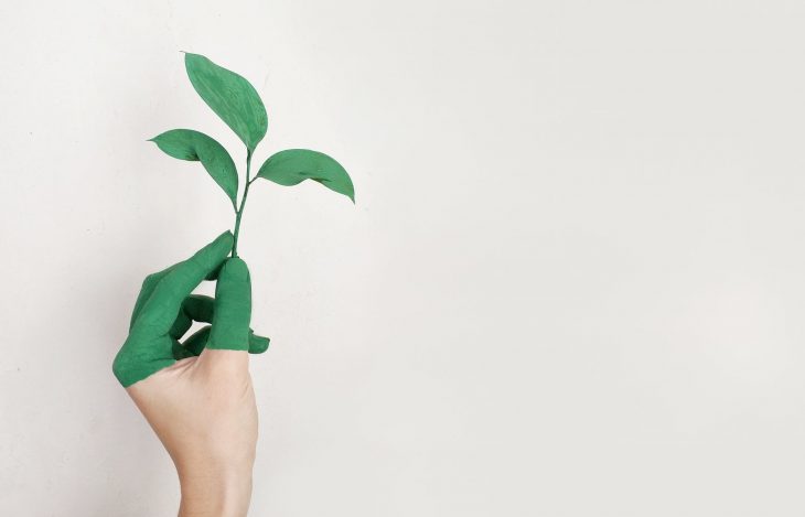Як бути «eco-friendly» - 4