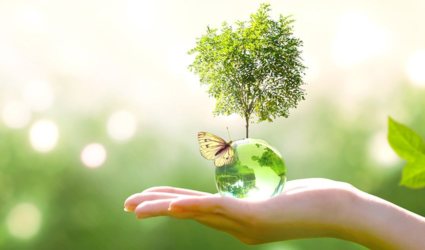 Як бути «eco-friendly» - 3