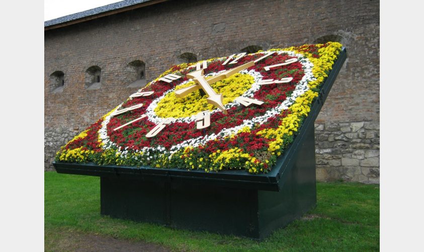 квітковий годинник у Львові