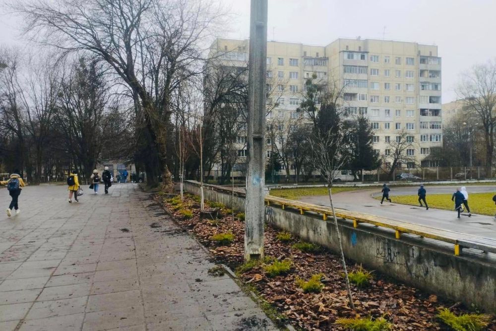 У Львові розпочали сезон висадок дерев та кущів - 2
