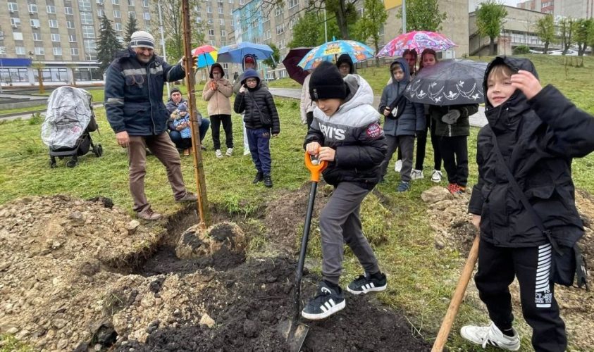 у Львові за тиждень висадили понад 60 дерев та кущів