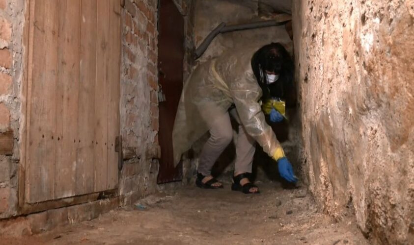 У центрі Львова - позапланова дератизація