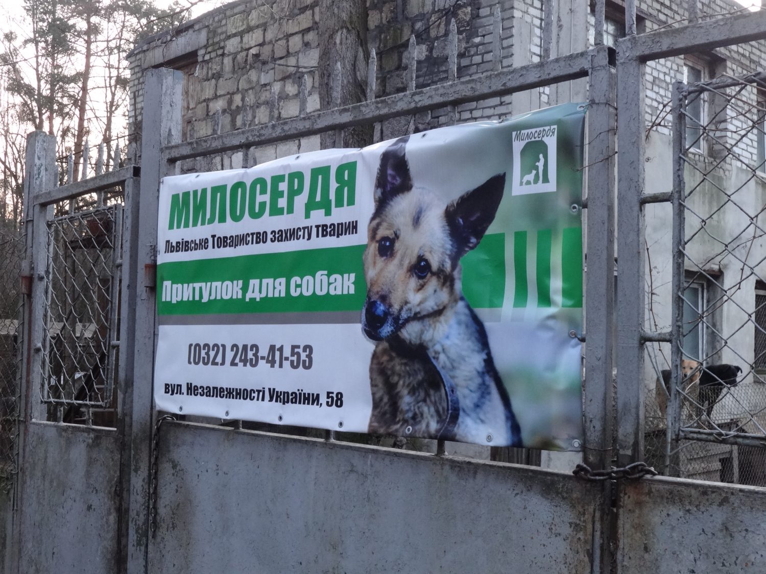 притулок Милосердя у Львові
