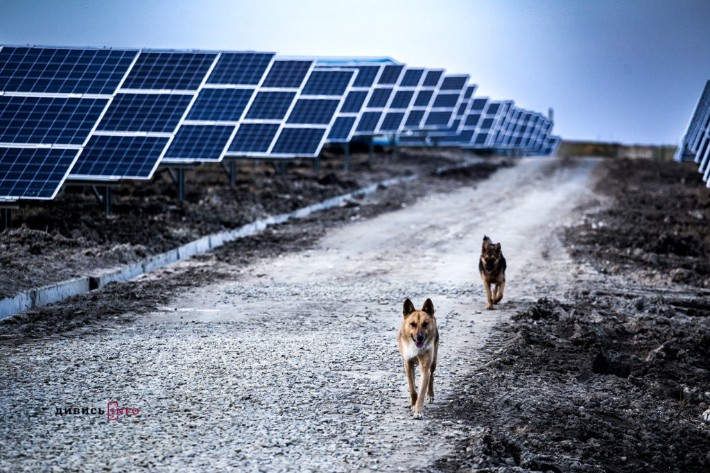 Потенційне звільнення двох міністрів, сонячні електростанції, знамениті львівські балерини: головні новини дня - 5