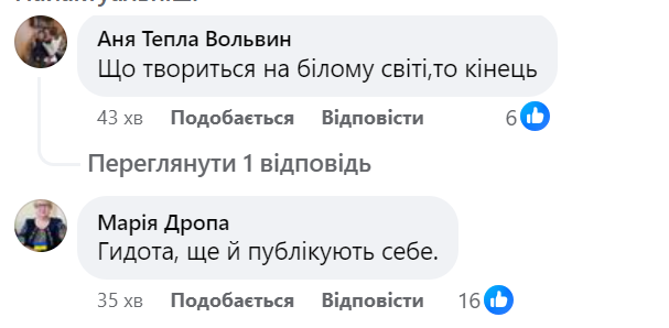 У мережі з'явилося відео з весілля двох жінок у Львові: реакція інтернет-користувачів - 4