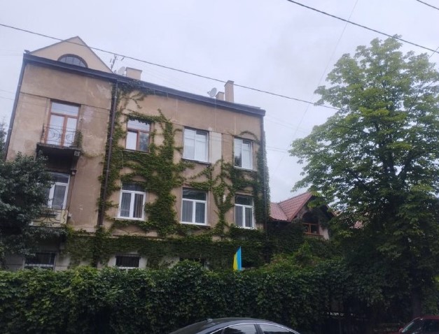 Вертикальне озеленення у Львові: в чому користь та які є міфи - 6