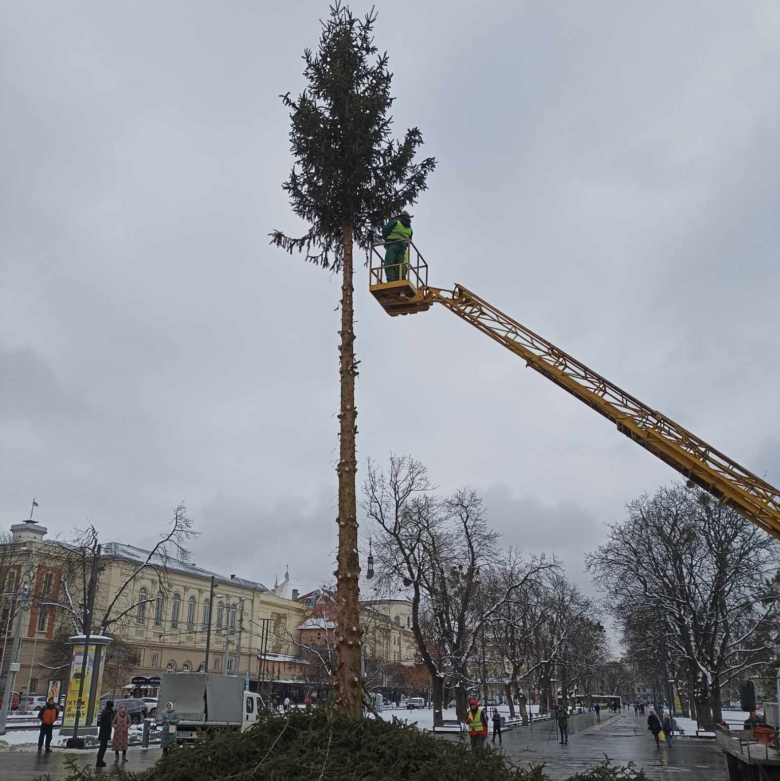 ялинка у Львові