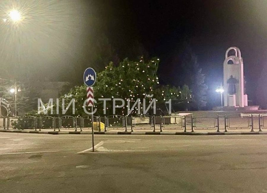 ялинка в Стрию