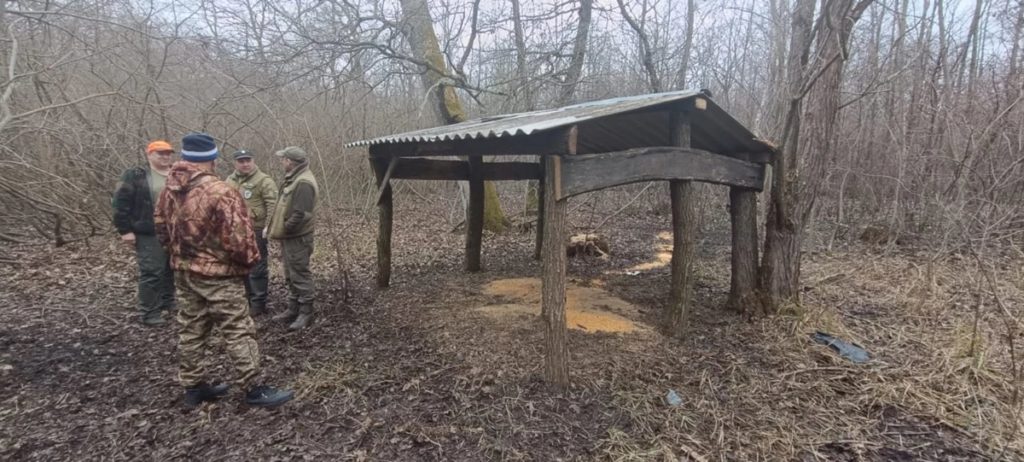 Через зміну клімату на Львівщині швидше народилися поросята в диких кабанів - 2