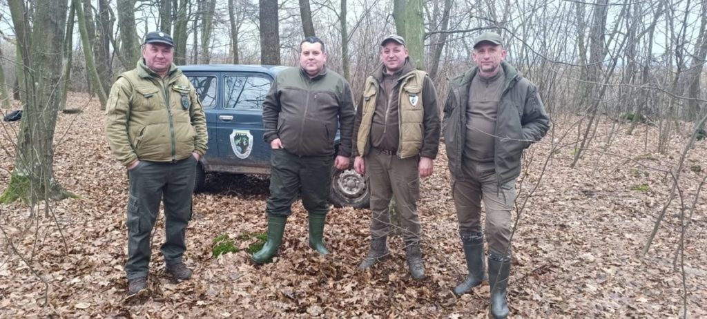 Через зміну клімату на Львівщині швидше народилися поросята в диких кабанів - 3
