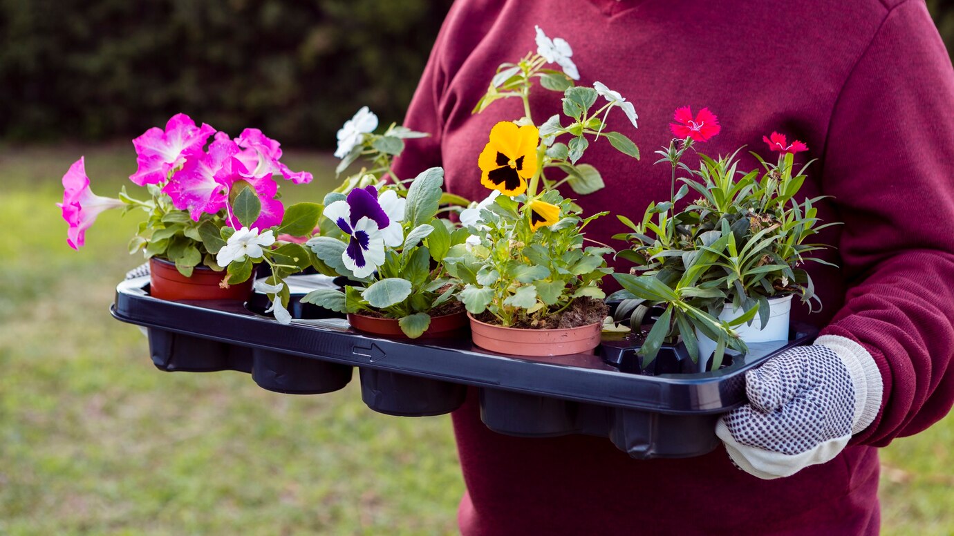 close-up-gardener-holding-flower-pots_23-2148396793
