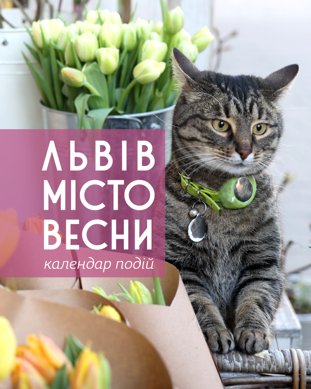 «Львів – місто весни»: квіти, мистецтво та екоініціативи - 2