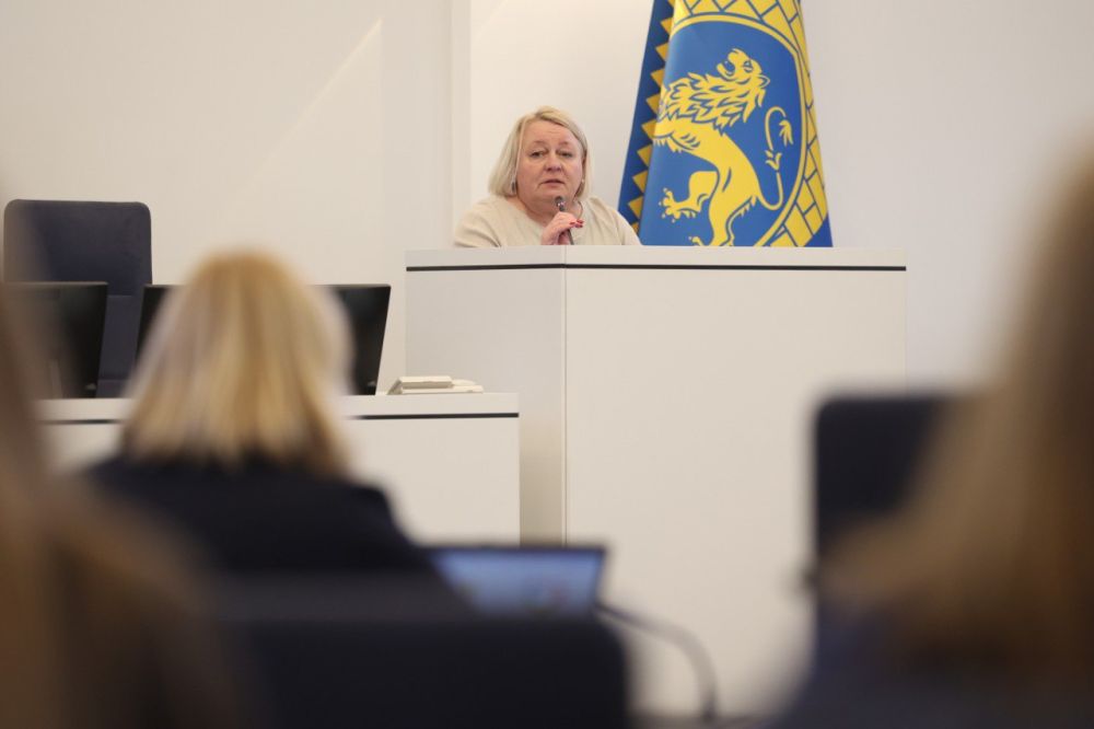 У міськраді Львова представили проєкт бюджету розвитку на 2025 рік - 11