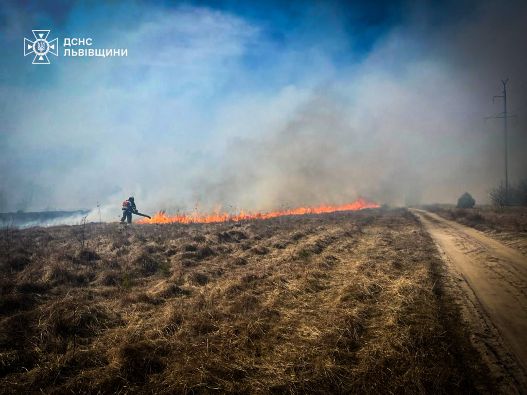 Львівщина: чому не можна спалювати сухостій та яка цьому є альтернатива - 3