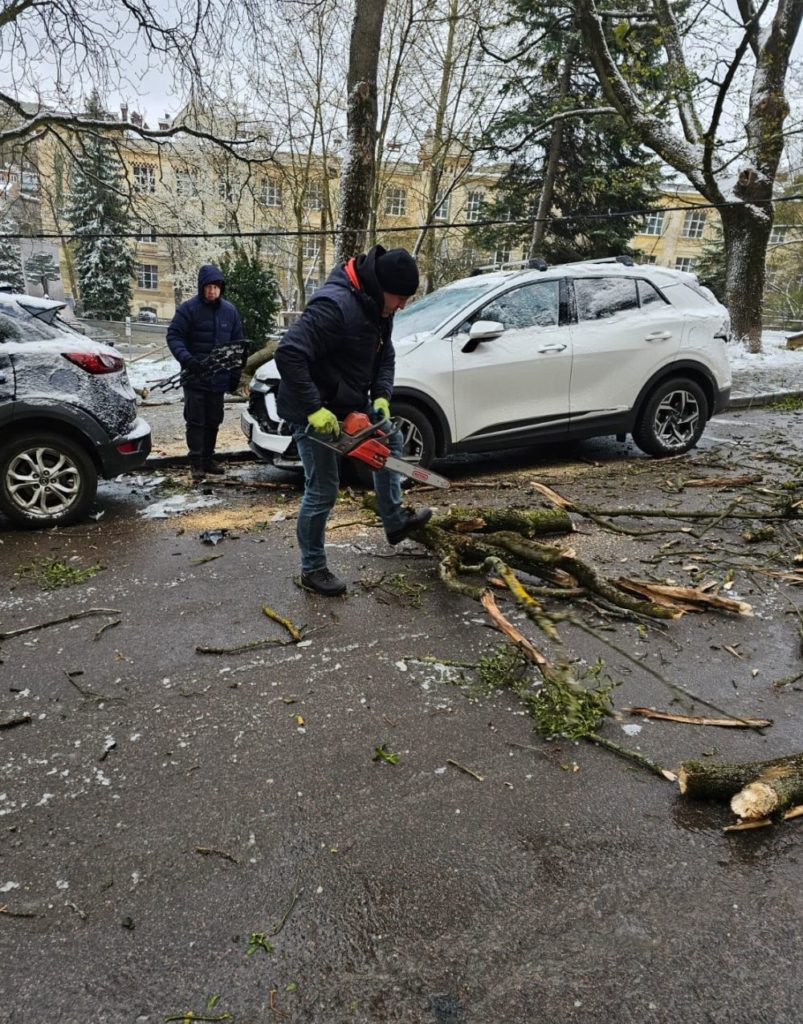 Львівські комунальники ліквідували наслідки падіння гілки дерева на Свенціцького - 2