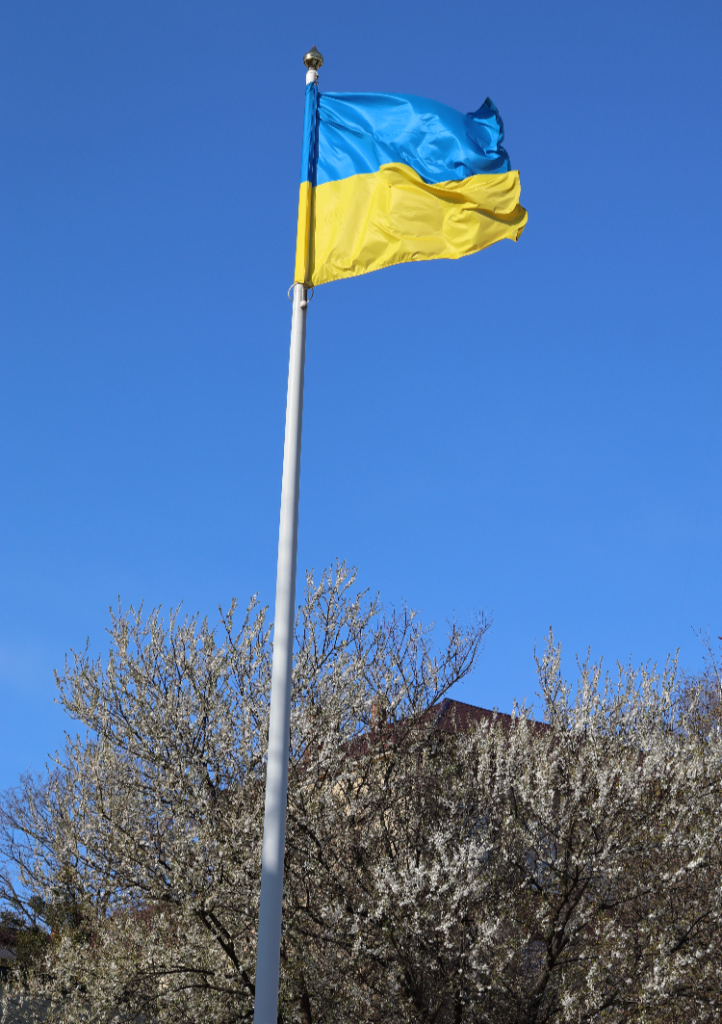 Яким є Львів навесні: фото з квіткових локацій міста - 23