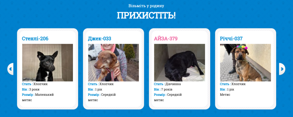 «Не викидайте собаку, повертайте її»: досвід ЛКП «Лев» у роботі з безпритульними тваринами - 4