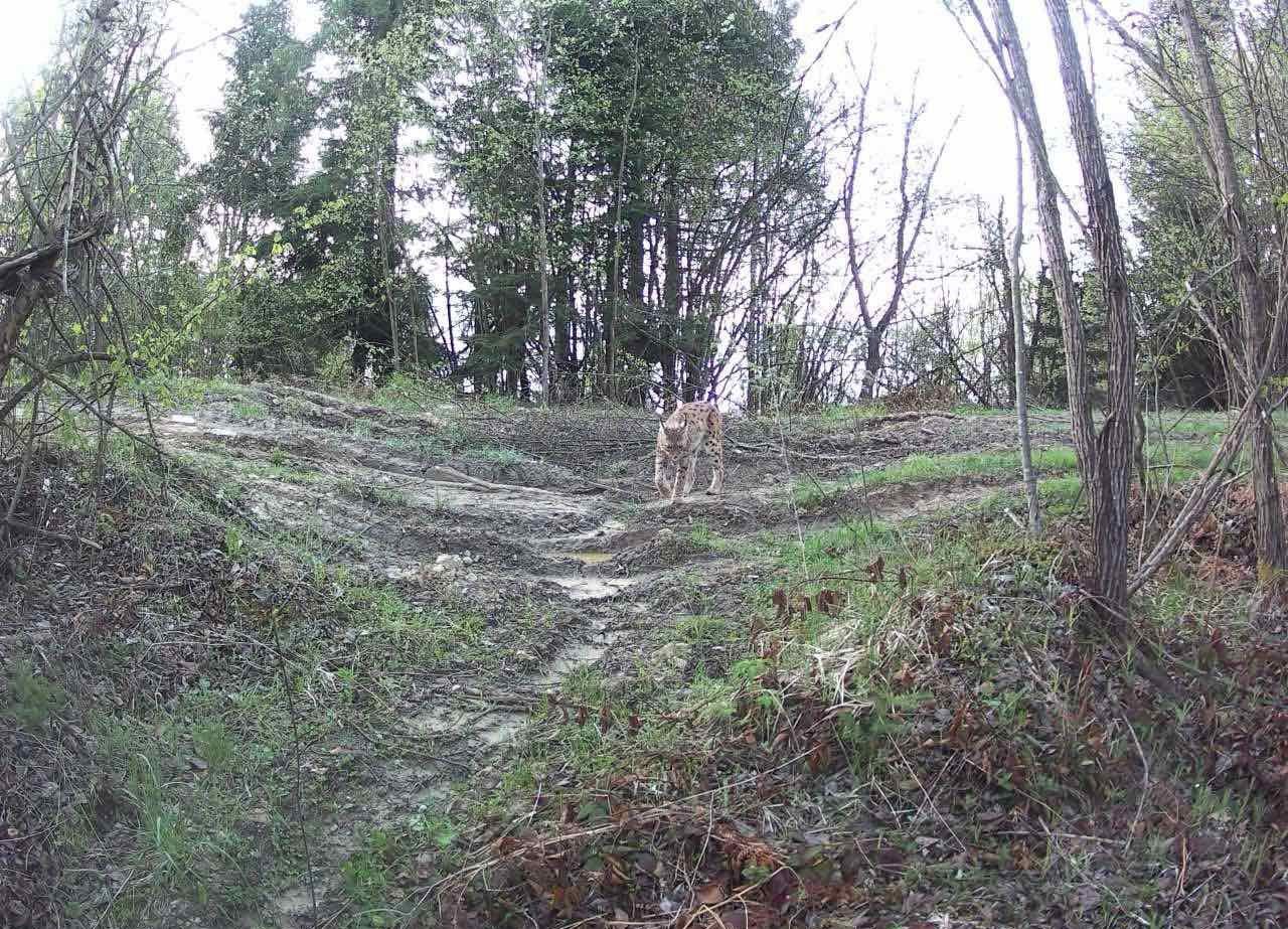 494453499_1124344363068848_7065453229394715605_n