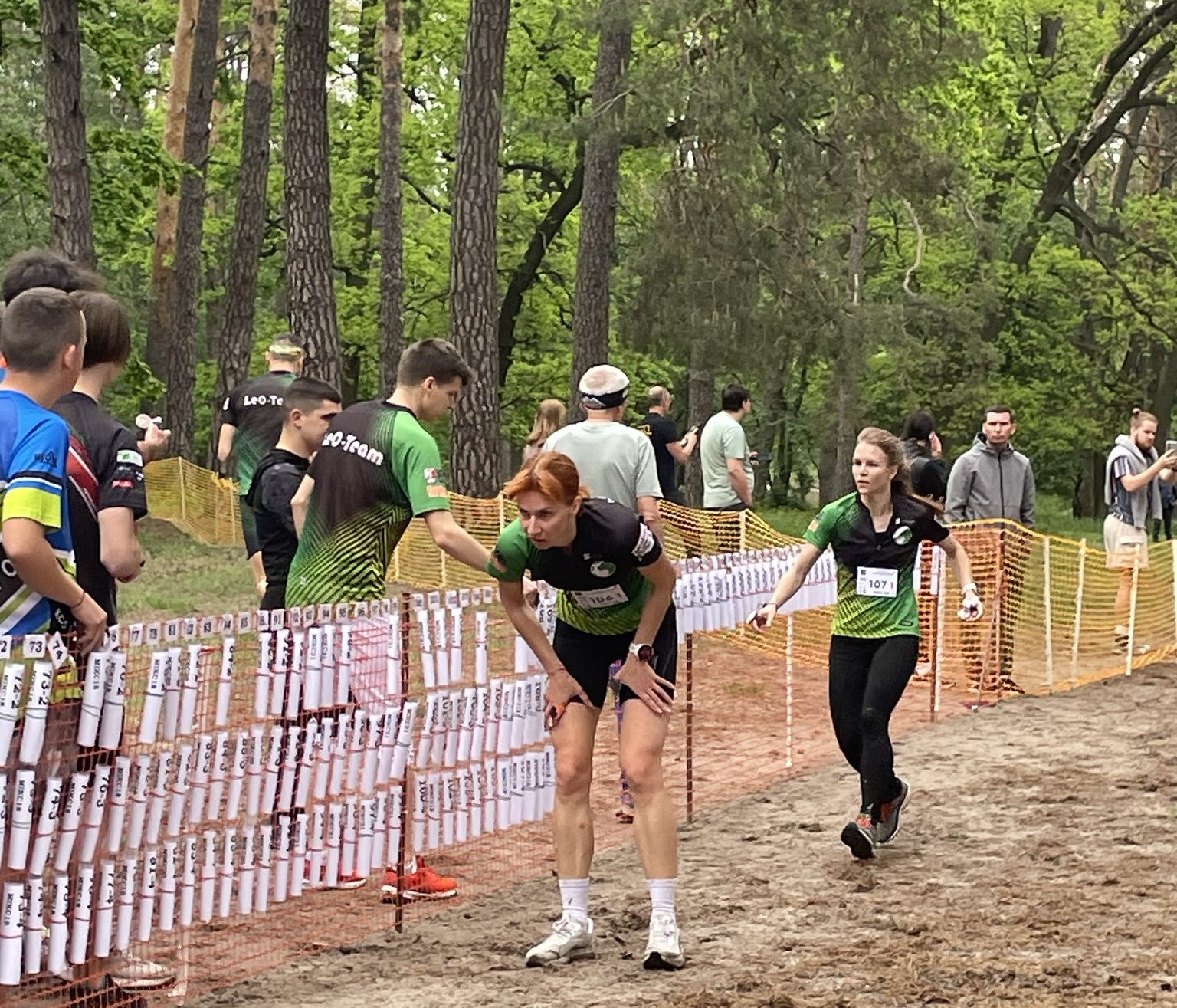 спортивне орієнтування