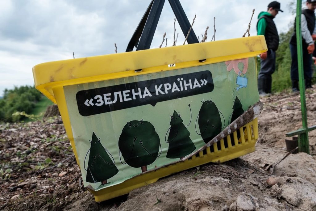 На Львівщині у межах ініціативи «Зелена країна» висадили понад 4 тисячі дубів - 3