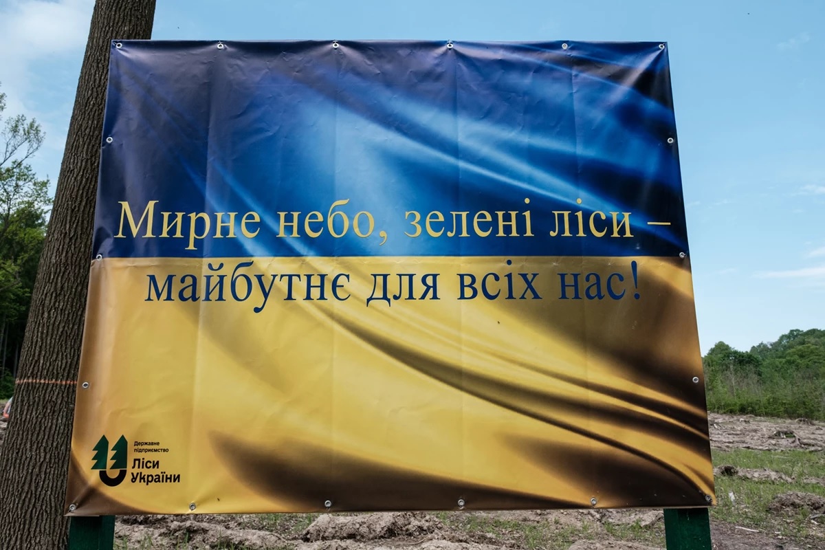На Львівщині у межах ініціативи «Зелена країна» висадили понад 4 тисячі дубів - 6