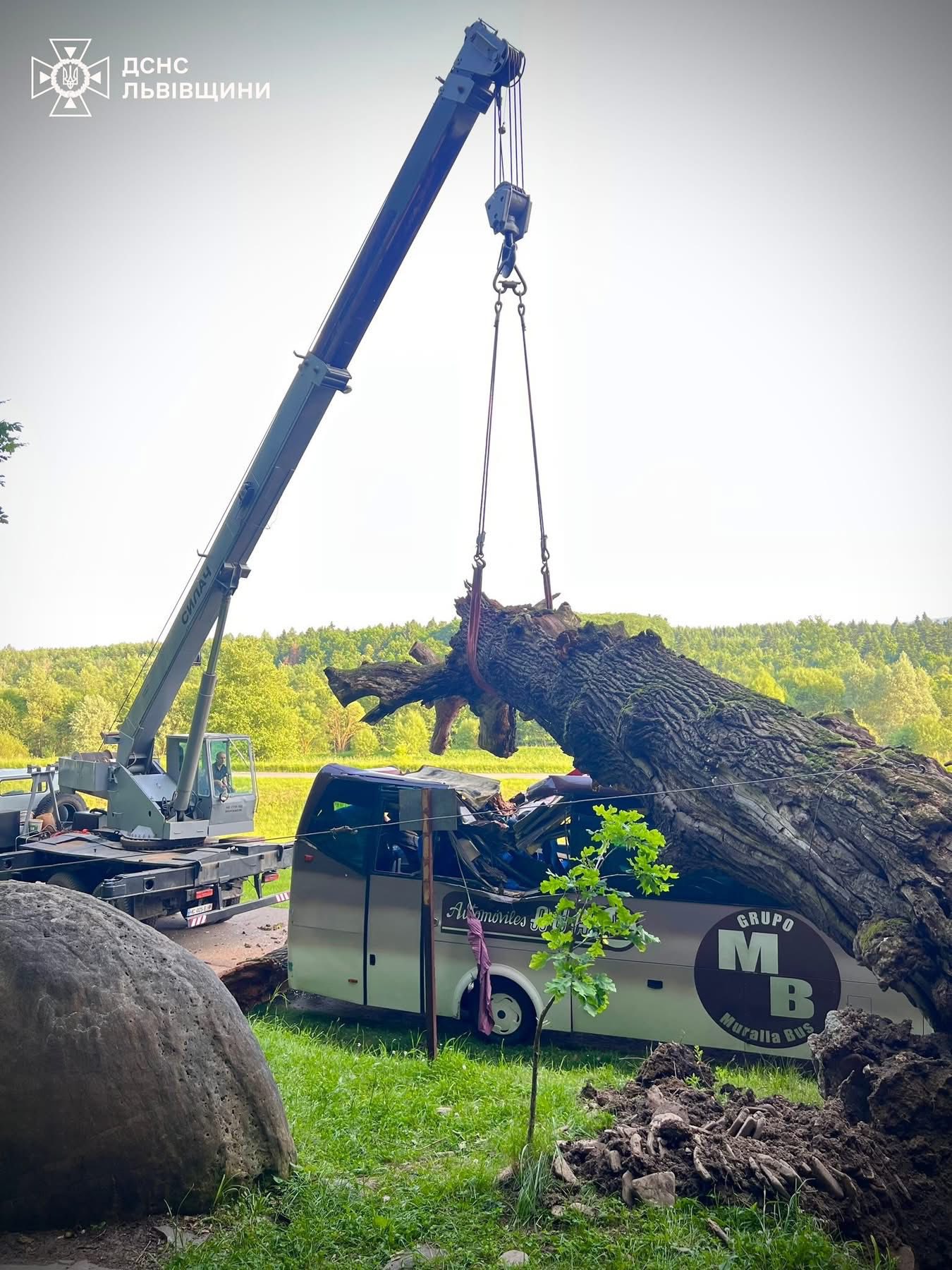 На Львівщині дерево впало на екскурсійний автобус - 4